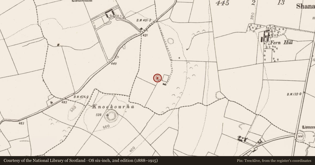 Ordnance Survey six-inch map, 2nd edition (1888–1915) covering the location of Ringfort - rath, Ballycormick, County Limerick, with a pin at the register's coordinates