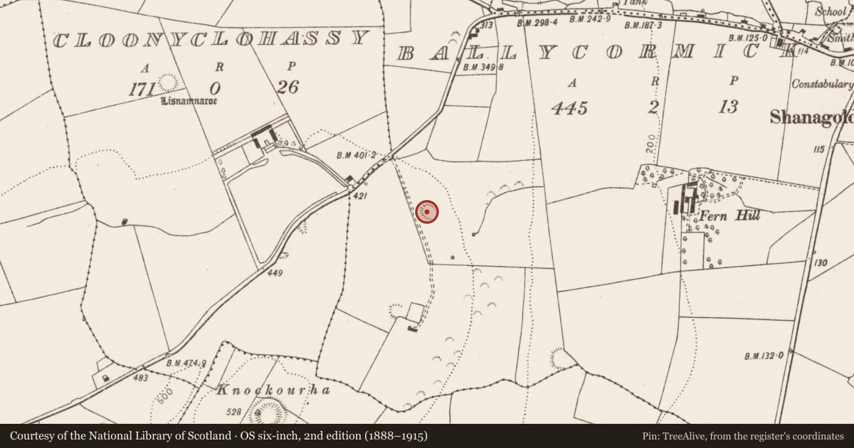 Ordnance Survey six-inch map, 2nd edition (1888–1915) covering the location of Ringfort - rath, Ballycormick, County Limerick, with a pin at the register's coordinates