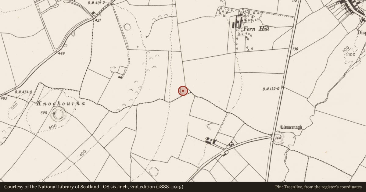 Ordnance Survey six-inch map, 2nd edition (1888–1915) covering the location of Ringfort - rath, Ballycormick, County Limerick, with a pin at the register's coordinates