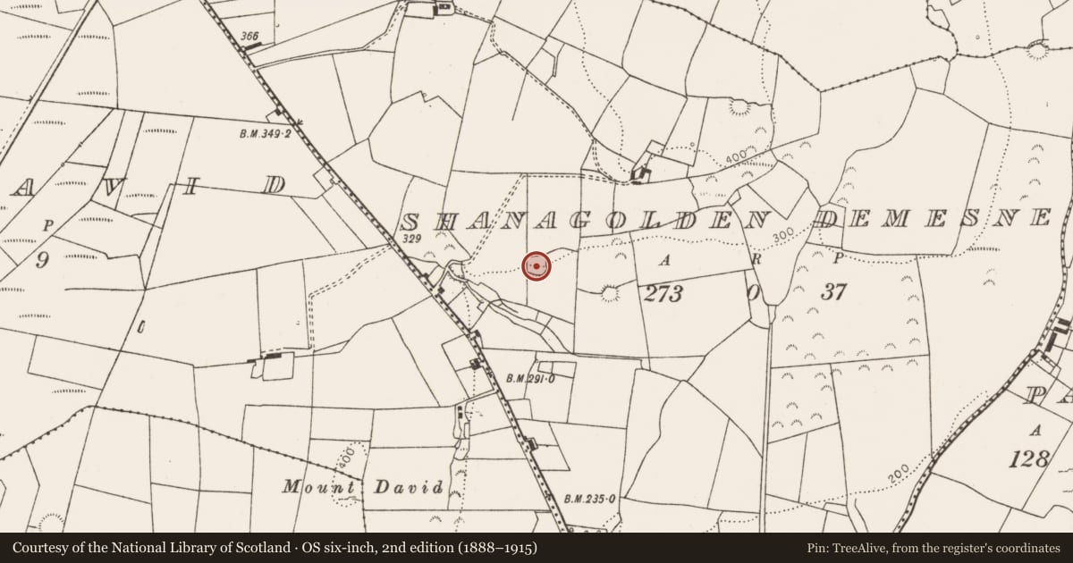 Ordnance Survey six-inch map, 2nd edition (1888–1915) covering the location of Enclosure, Shanagolden Demesne, County Limerick, with a pin at the register's coordinates