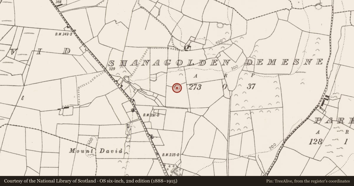 Ordnance Survey six-inch map, 2nd edition (1888–1915) covering the location of Ringfort - rath, Shanagolden Demesne, County Limerick, with a pin at the register's coordinates