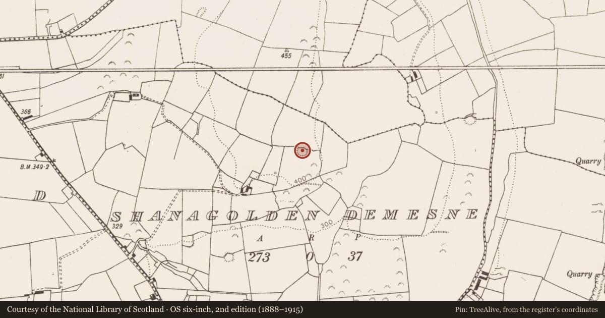 Ordnance Survey six-inch map, 2nd edition (1888–1915) covering the location of Ringfort - rath, Shanagolden Demesne, County Limerick, with a pin at the register's coordinates