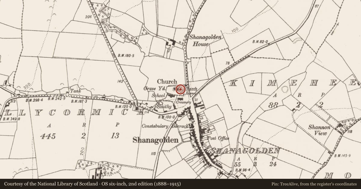 Ordnance Survey six-inch map, 2nd edition (1888–1915) covering the location of Graveslab, Shanagolden Demesne, County Limerick, with a pin at the register's coordinates