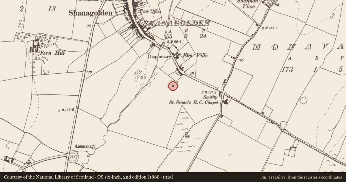 Ordnance Survey six-inch map, 2nd edition (1888–1915) covering the location of Ringfort - rath, Ballycormick, County Limerick, with a pin at the register's coordinates
