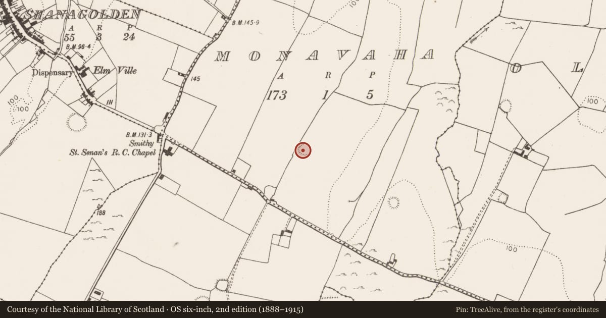 Ordnance Survey six-inch map, 2nd edition (1888–1915) covering the location of Ringfort - rath, Monavaha, County Limerick, with a pin at the register's coordinates