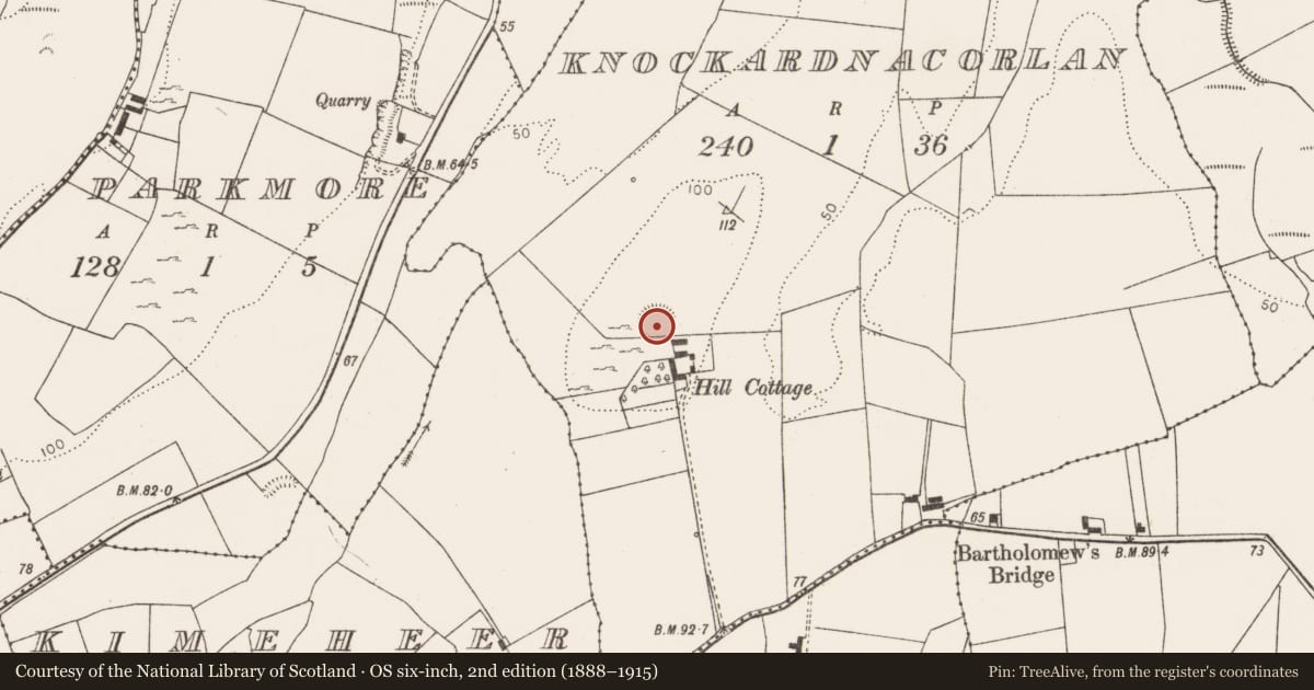Ordnance Survey six-inch map, 2nd edition (1888–1915) covering the location of Ringfort - rath, Knockardnacorlan, County Limerick, with a pin at the register's coordinates