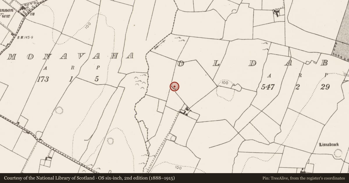 Ordnance Survey six-inch map, 2nd edition (1888–1915) covering the location of Ringfort - rath, Oldabbey, County Limerick, with a pin at the register's coordinates
