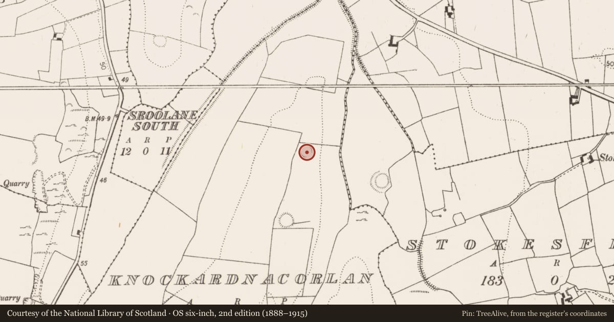 Ordnance Survey six-inch map, 2nd edition (1888–1915) covering the location of Ringfort - rath, Knockardnacorlan, County Limerick, with a pin at the register's coordinates