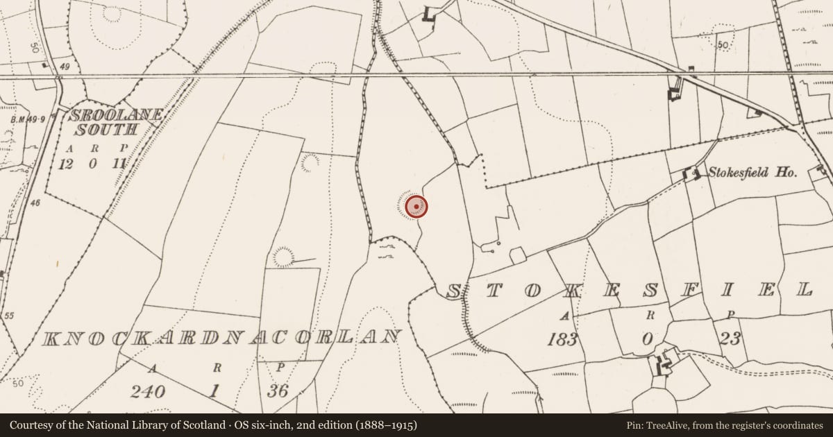 Ordnance Survey six-inch map, 2nd edition (1888–1915) covering the location of Ringfort - rath, Stokesfield, County Limerick, with a pin at the register's coordinates
