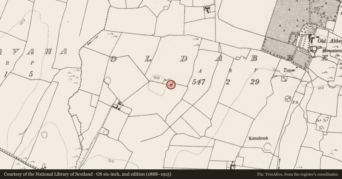 Ordnance Survey six-inch map, 2nd edition (1888–1915) covering the location of Moated site, Oldabbey, County Limerick, with a pin at the register's coordinates