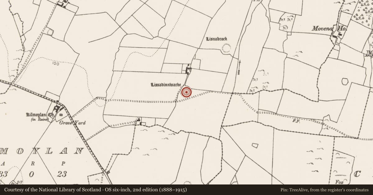 Ordnance Survey six-inch map, 2nd edition (1888–1915) covering the location of Ringfort - rath, Oldabbey, County Limerick, with a pin at the register's coordinates