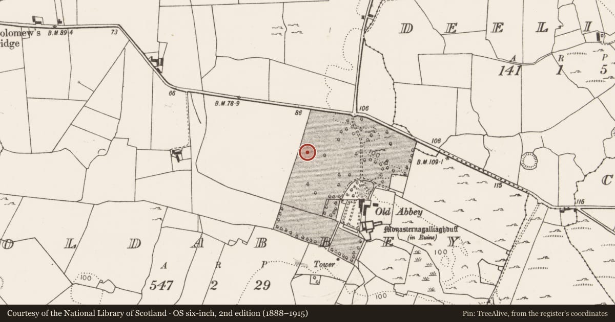 Ordnance Survey six-inch map, 2nd edition (1888–1915) covering the location of Settlement deserted - medieval, Oldabbey, County Limerick, with a pin at the register's coordinates