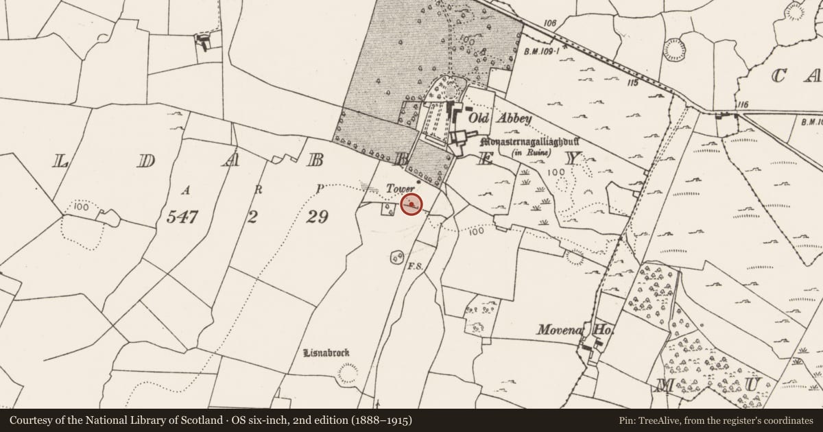 Ordnance Survey six-inch map, 2nd edition (1888–1915) covering the location of Gateway, Oldabbey, County Limerick, with a pin at the register's coordinates