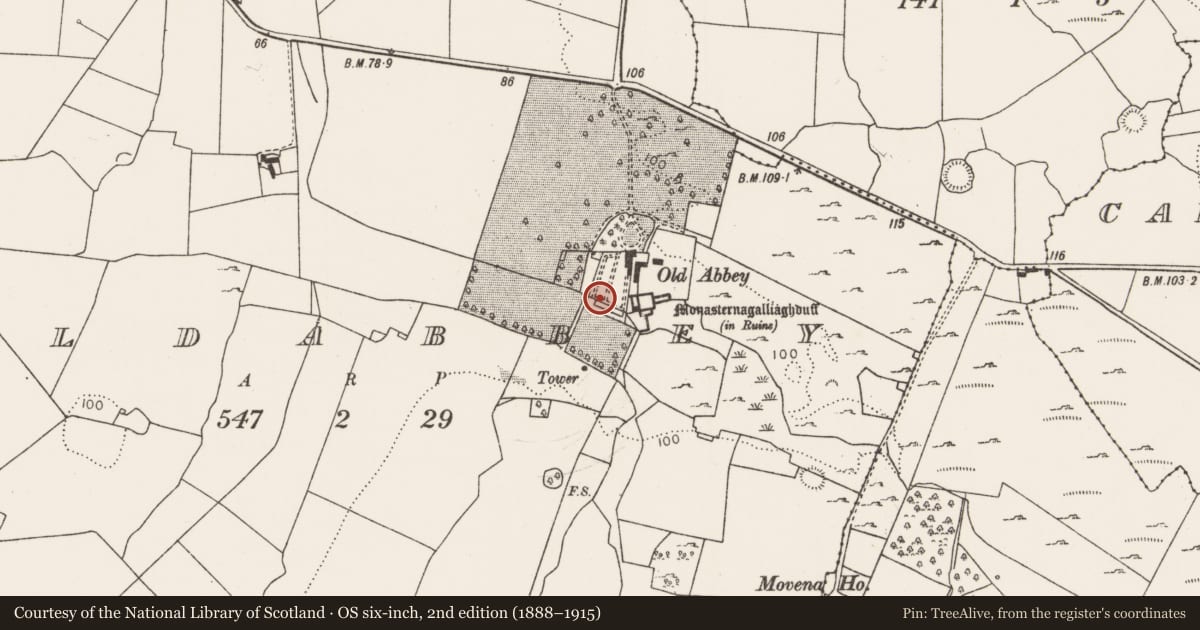 Ordnance Survey six-inch map, 2nd edition (1888–1915) covering the location of Designed landscape - tea house, Oldabbey, County Limerick, with a pin at the register's coordinates