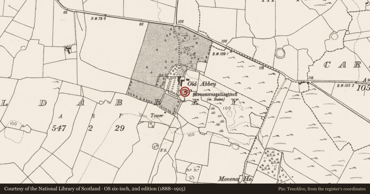 Ordnance Survey six-inch map, 2nd edition (1888–1915) covering the location of Religious house - Augustinian nuns, Oldabbey, County Limerick, with a pin at the register's coordinates