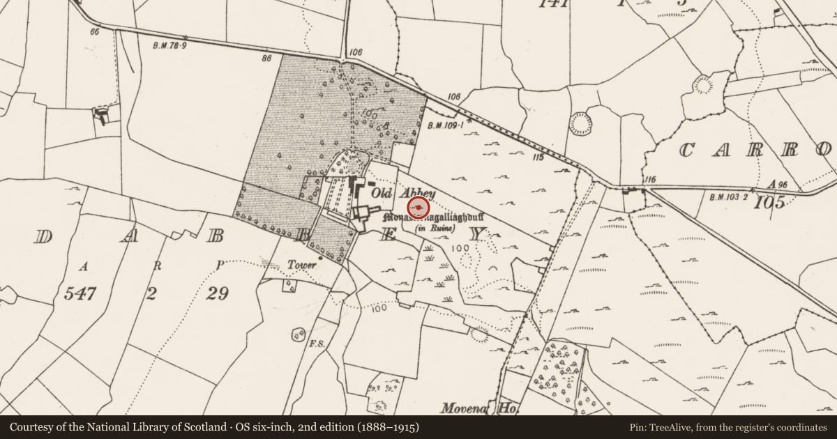 Ordnance Survey six-inch map, 2nd edition (1888–1915) covering the location of Anomalous stone group, Oldabbey, County Limerick, with a pin at the register's coordinates
