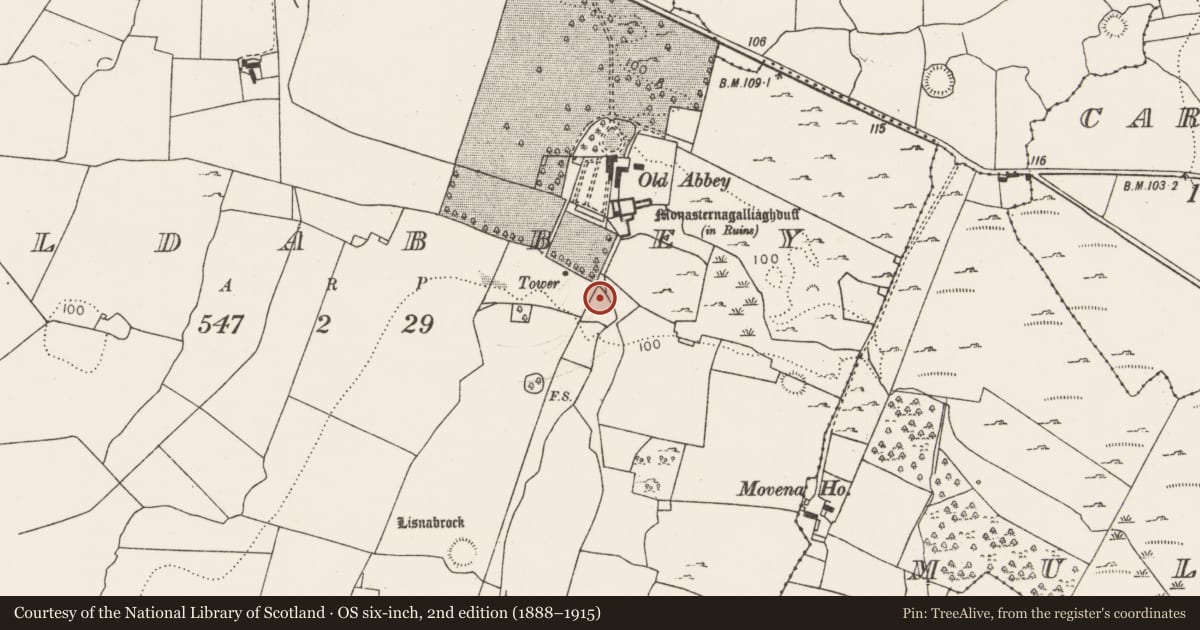 Ordnance Survey six-inch map, 2nd edition (1888–1915) covering the location of Standing stone, Oldabbey, County Limerick, with a pin at the register's coordinates