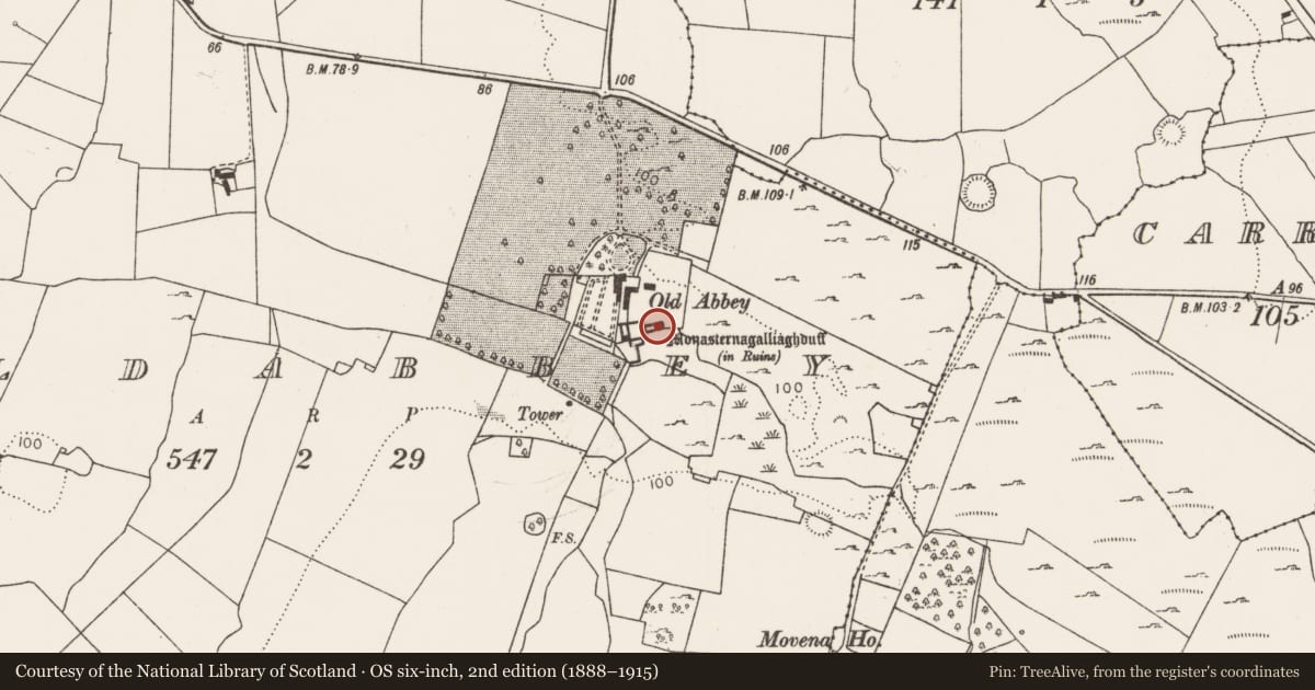 Ordnance Survey six-inch map, 2nd edition (1888–1915) covering the location of Graveslab, Oldabbey, County Limerick, with a pin at the register's coordinates
