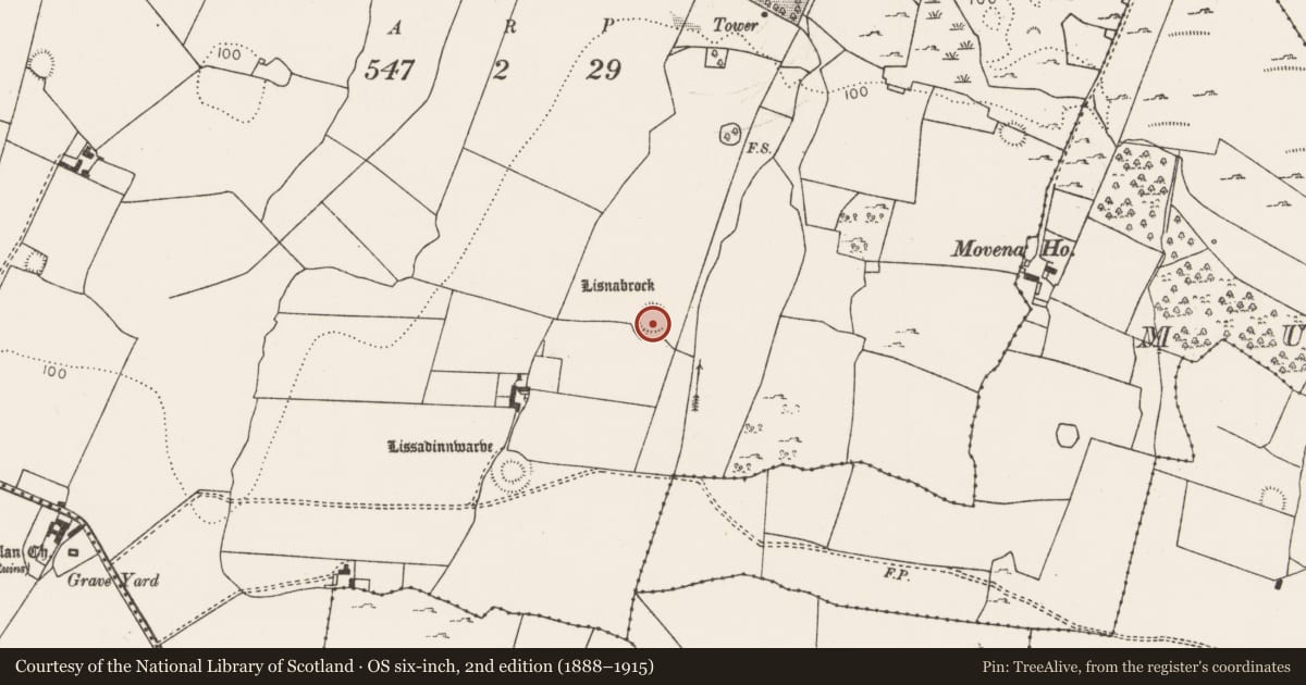 Ordnance Survey six-inch map, 2nd edition (1888–1915) covering the location of Ringfort - rath, Oldabbey, County Limerick, with a pin at the register's coordinates