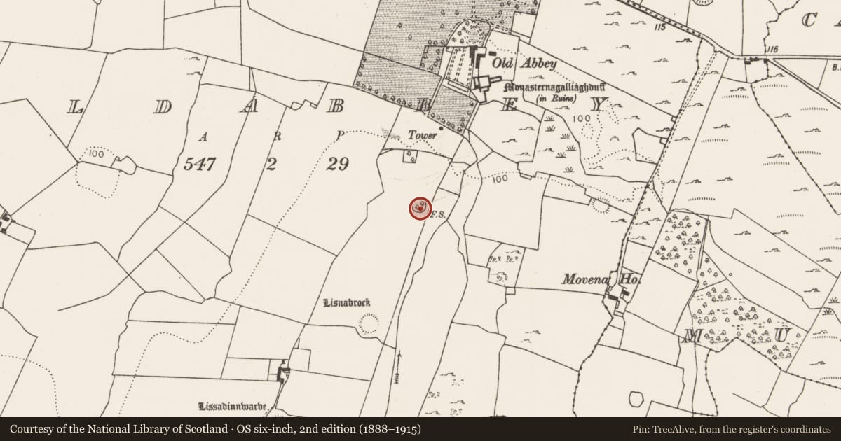 Ordnance Survey six-inch map, 2nd edition (1888–1915) covering the location of Ringfort - cashel, Oldabbey, County Limerick, with a pin at the register's coordinates