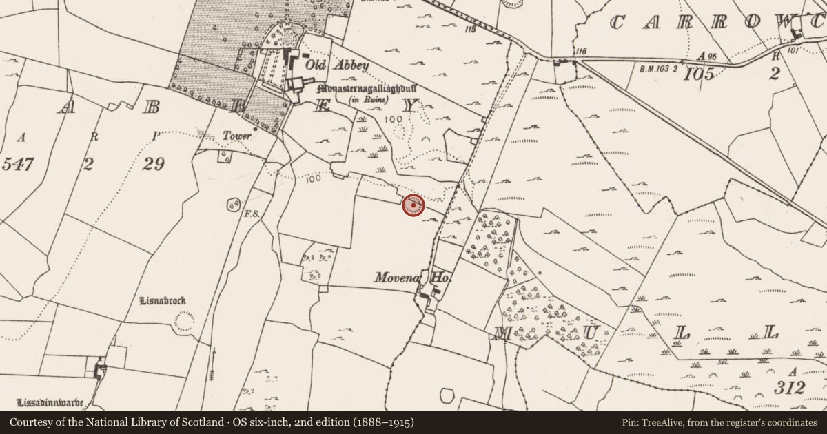Ordnance Survey six-inch map, 2nd edition (1888–1915) covering the location of Ringfort - rath, Oldabbey, County Limerick, with a pin at the register's coordinates