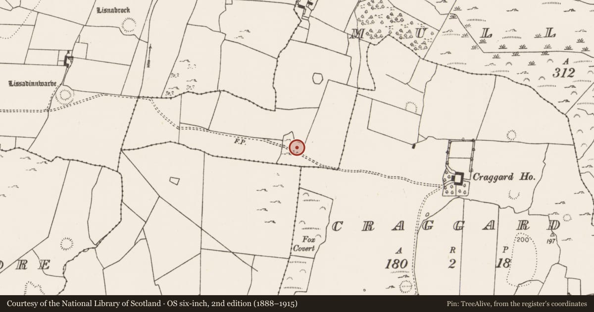 Ordnance Survey six-inch map, 2nd edition (1888–1915) covering the location of Ringfort - rath, Mullagh, County Limerick, with a pin at the register's coordinates