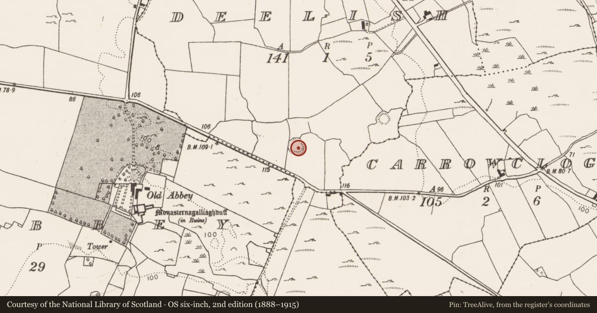 Ordnance Survey six-inch map, 2nd edition (1888–1915) covering the location of Ringfort - rath, Deelish, County Limerick, with a pin at the register's coordinates