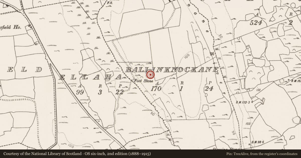 Ordnance Survey six-inch map, 2nd edition (1888–1915) covering the location of Enclosure, Ballinknockane, County Limerick, with a pin at the register's coordinates