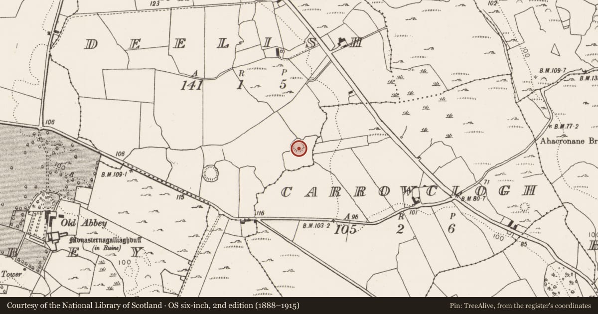 Ordnance Survey six-inch map, 2nd edition (1888–1915) covering the location of Ringfort - rath, Deelish, County Limerick, with a pin at the register's coordinates