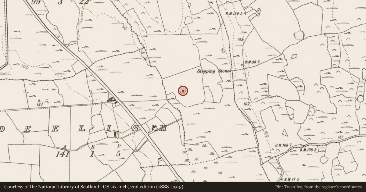 Ordnance Survey six-inch map, 2nd edition (1888–1915) covering the location of Ringfort - rath, Ballinknockane, County Limerick, with a pin at the register's coordinates
