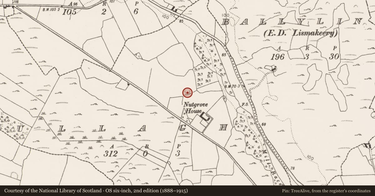 Ordnance Survey six-inch map, 2nd edition (1888–1915) covering the location of Ringfort - rath, Mullagh, County Limerick, with a pin at the register's coordinates