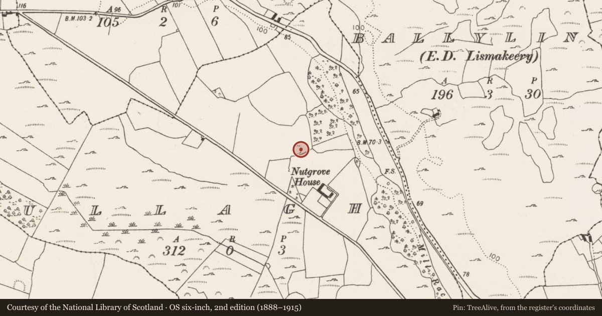 Ordnance Survey six-inch map, 2nd edition (1888–1915) covering the location of Kiln - lime, Mullagh, County Limerick, with a pin at the register's coordinates