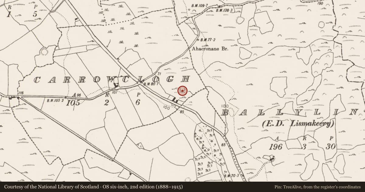 Ordnance Survey six-inch map, 2nd edition (1888–1915) covering the location of Ringfort - cashel, Carrowclogh, County Limerick, with a pin at the register's coordinates