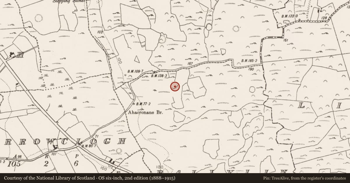Ordnance Survey six-inch map, 2nd edition (1888–1915) covering the location of Ringfort - cashel, Ballylin, County Limerick, with a pin at the register's coordinates