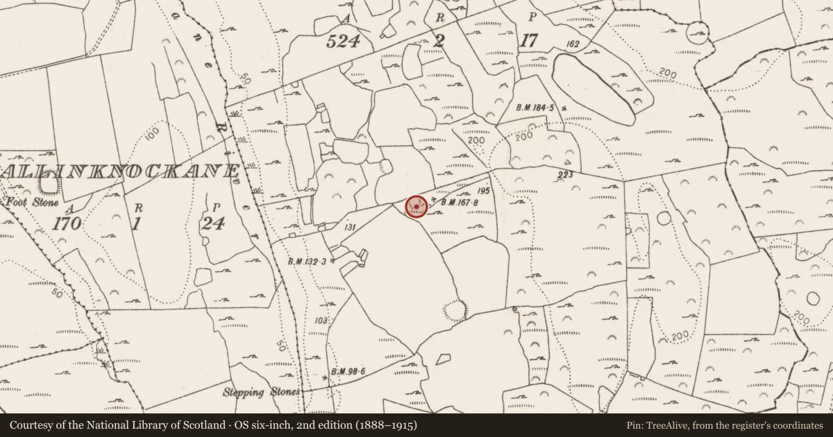 Ordnance Survey six-inch map, 2nd edition (1888–1915) covering the location of Ringfort - rath, Craggs, County Limerick, with a pin at the register's coordinates