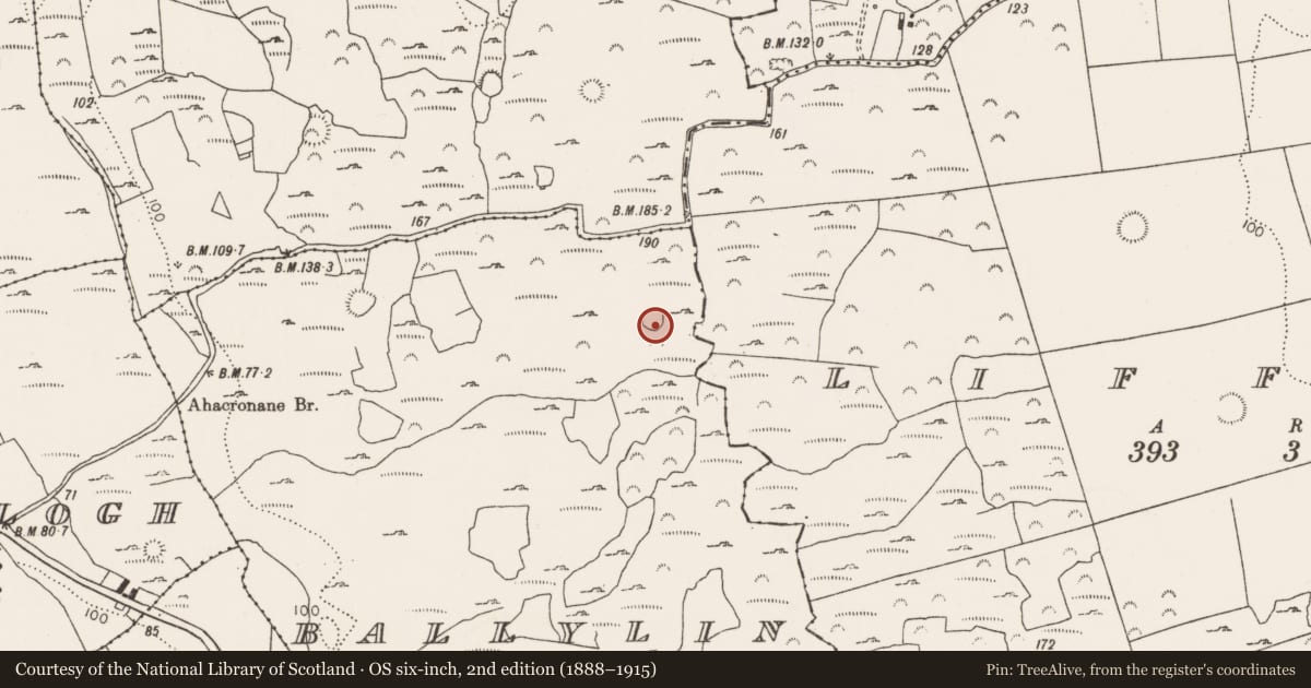 Ordnance Survey six-inch map, 2nd edition (1888–1915) covering the location of Ringfort - rath, Ballylin, County Limerick, with a pin at the register's coordinates