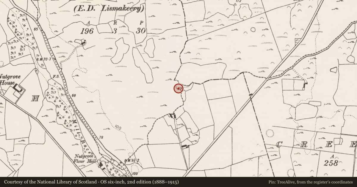 Ordnance Survey six-inch map, 2nd edition (1888–1915) covering the location of Enclosure, Ballylin, County Limerick, with a pin at the register's coordinates