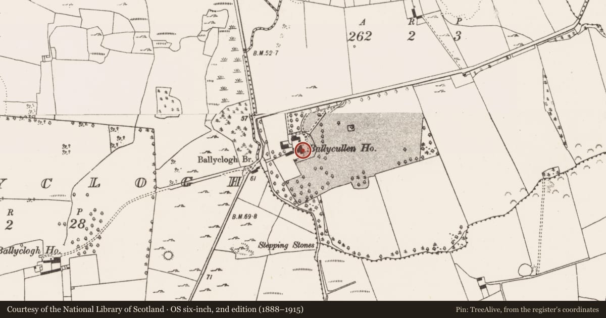 Ordnance Survey six-inch map, 2nd edition (1888–1915) covering the location of Castle - unclassified, Ballycullen, County Limerick, with a pin at the register's coordinates