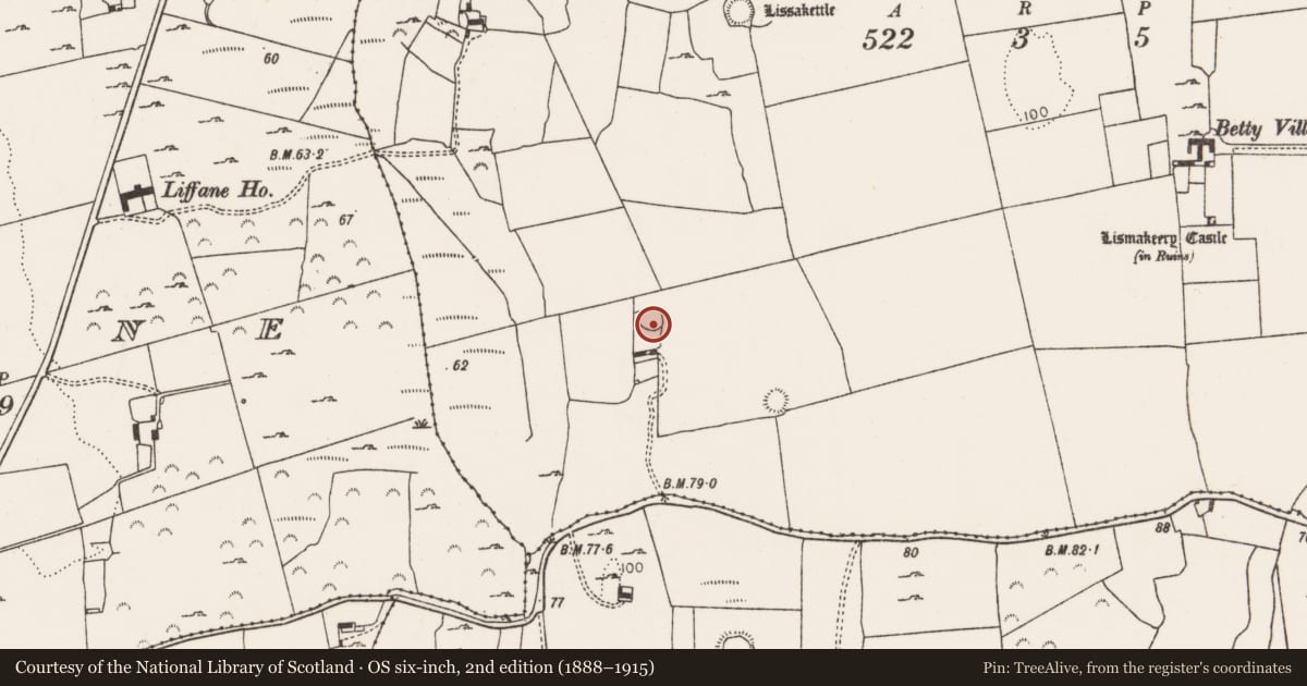 Ordnance Survey six-inch map, 2nd edition (1888–1915) covering the location of Ringfort - rath, Lismakeery, County Limerick, with a pin at the register's coordinates