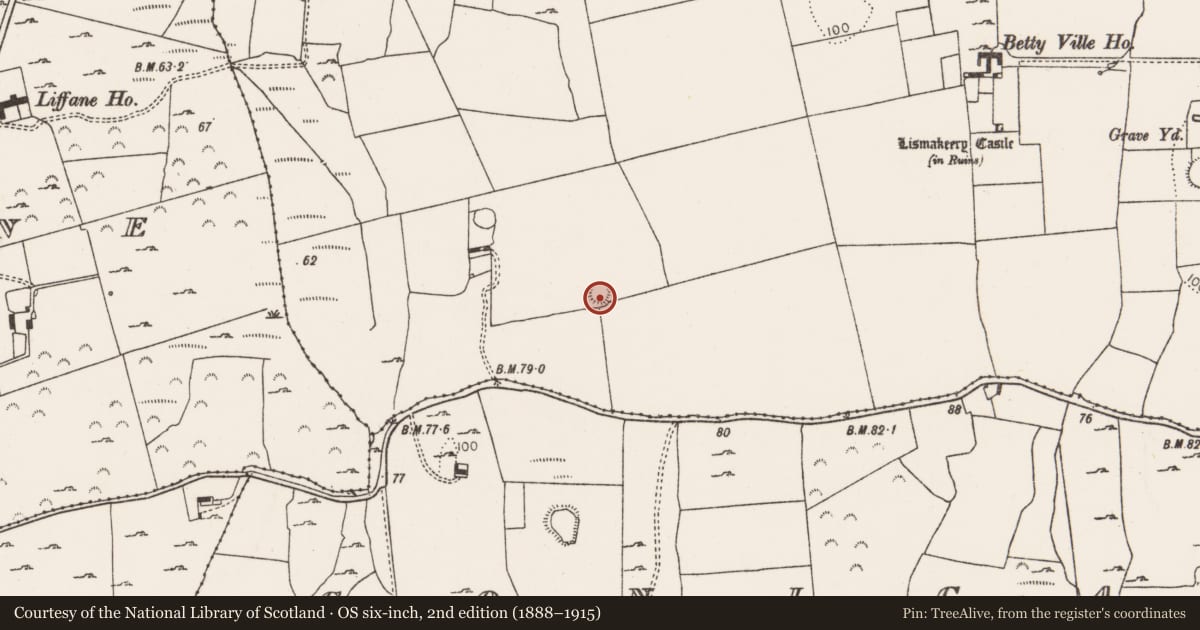 Ordnance Survey six-inch map, 2nd edition (1888–1915) covering the location of Ringfort - rath, Lismakeery, County Limerick, with a pin at the register's coordinates