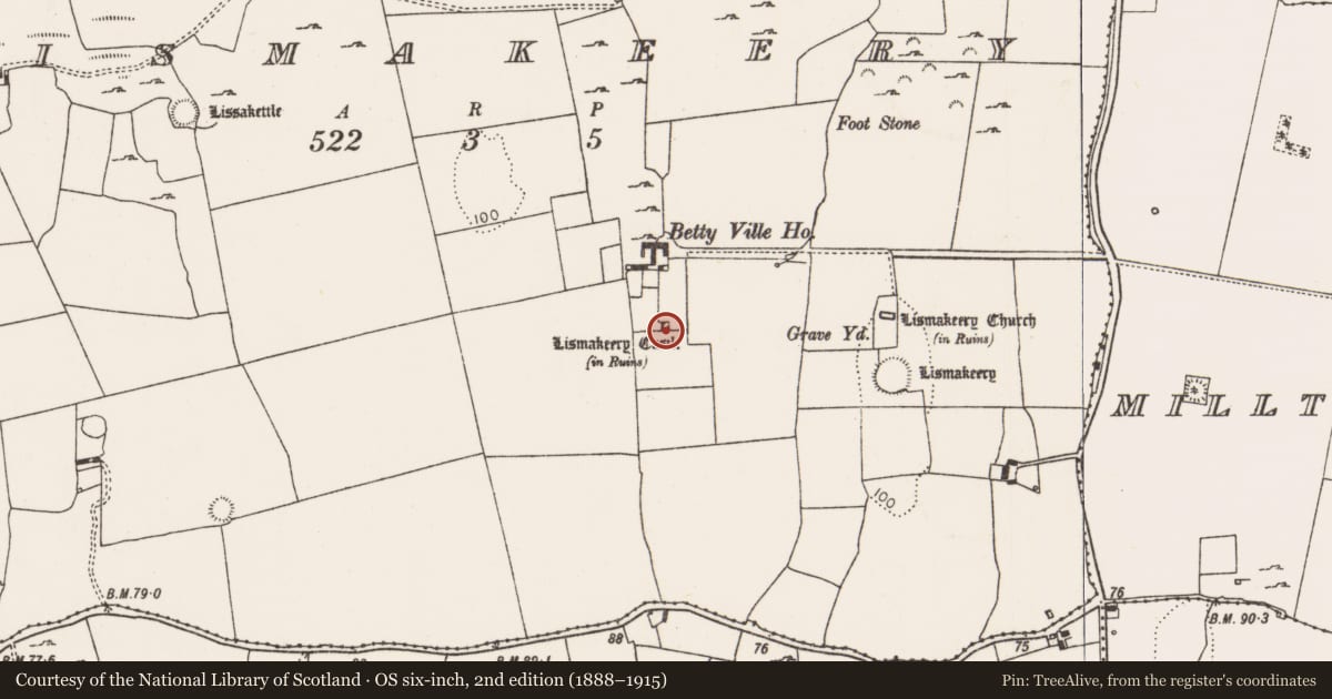 Ordnance Survey six-inch map, 2nd edition (1888–1915) covering the location of Castle - tower house, Lismakeery, County Limerick, with a pin at the register's coordinates
