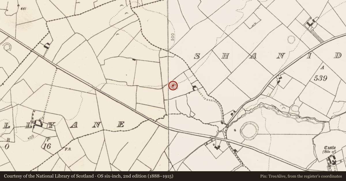 Ordnance Survey six-inch map, 2nd edition (1888–1915) covering the location of Ringfort - rath, Ballyane, County Limerick, with a pin at the register's coordinates