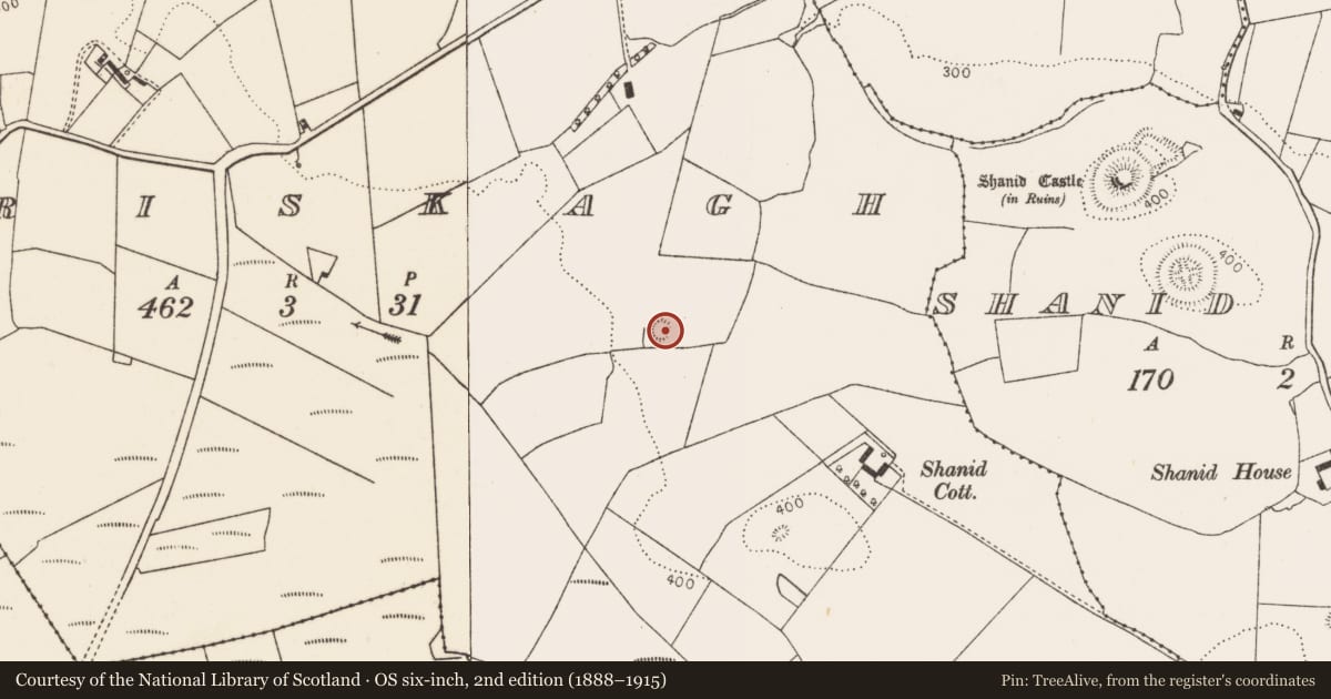 Ordnance Survey six-inch map, 2nd edition (1888–1915) covering the location of Ringfort - rath, Briskagh, County Limerick, with a pin at the register's coordinates