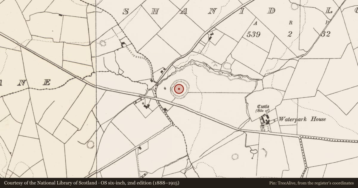 Ordnance Survey six-inch map, 2nd edition (1888–1915) covering the location of Ringfort - rath, Shanid Lower, County Limerick, with a pin at the register's coordinates