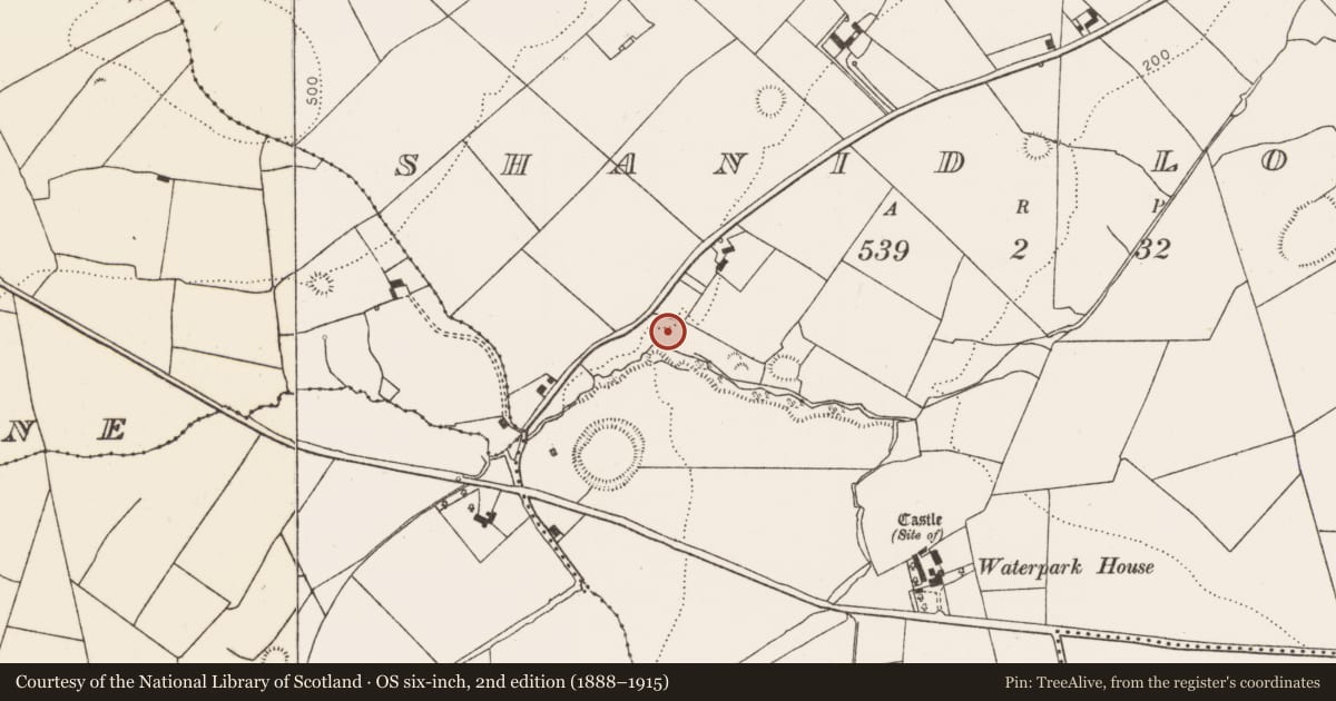 Ordnance Survey six-inch map, 2nd edition (1888–1915) covering the location of Ringfort - rath, Shanid Lower, County Limerick, with a pin at the register's coordinates