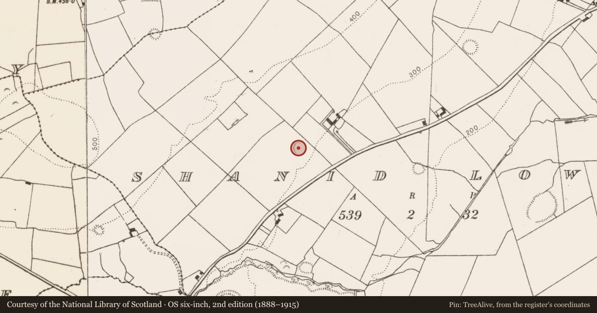 Ordnance Survey six-inch map, 2nd edition (1888–1915) covering the location of Ringfort - rath, Shanid Lower, County Limerick, with a pin at the register's coordinates