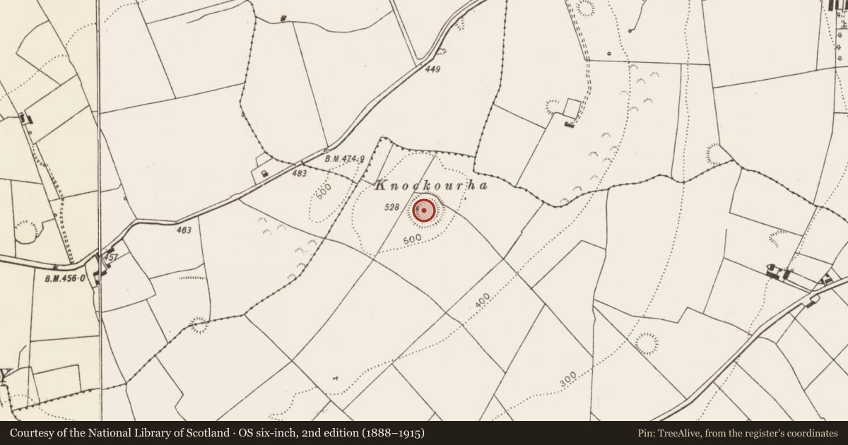 Ordnance Survey six-inch map, 2nd edition (1888–1915) covering the location of Ringfort - rath, Shanid Lower, County Limerick, with a pin at the register's coordinates