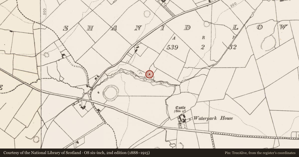 Ordnance Survey six-inch map, 2nd edition (1888–1915) covering the location of Ringfort - rath, Shanid Lower, County Limerick, with a pin at the register's coordinates