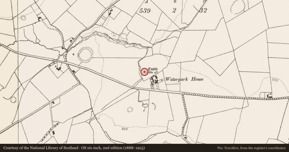 Ordnance Survey six-inch map, 2nd edition (1888–1915) covering the location of Castle - unclassified, Shanid Lower, County Limerick, with a pin at the register's coordinates