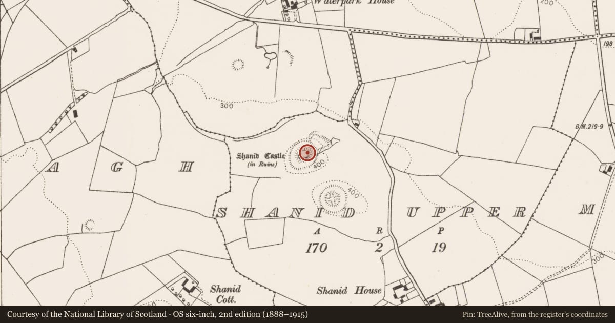 Ordnance Survey six-inch map, 2nd edition (1888–1915) covering the location of Castle - motte and bailey, Shanid Upper, County Limerick, with a pin at the register's coordinates